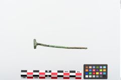 Foto von Bronzenagelkopfnadel (NHMW-PRAE-024234)